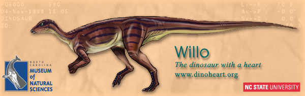 Willo, the dinosaur with a heart - graphic prepared using illustration of Thescelosaurus by Ed Heck