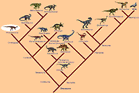 Dinosaur Cladogram - Ed Heck