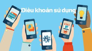 Chính sách liên quan đến điều khoản nội dung website